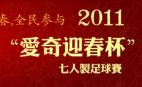 2010贺岁杯